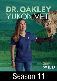 Buy Dr. Oakley, Yukon Vet, Season 11 .